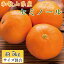 【ふるさと納税】和歌山県由良町産セミノールオレンジ約5kg(サイズ混合　秀品) ※2024年4月上旬～4月下旬ごろに順次発送（お届け日指定不可）