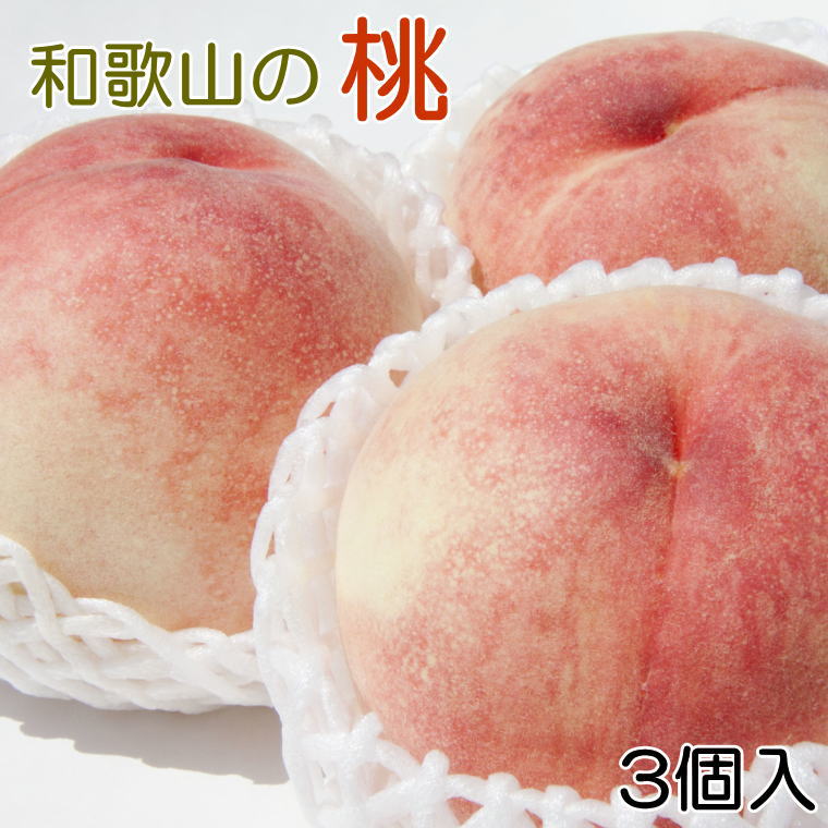 【ふるさと納税】 【産直・人気の特産品】和歌山の桃 3玉入り ※2025年6月下旬~2025年8月上旬頃に順次発送