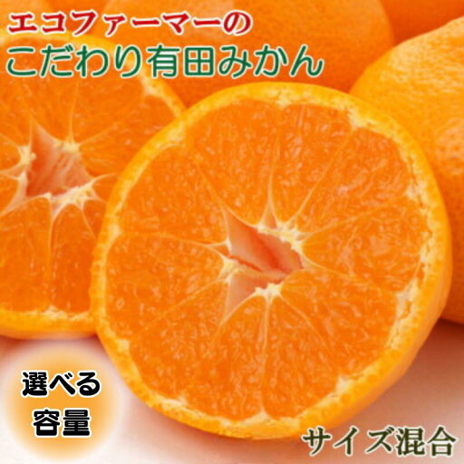 【ふるさと納税】 エコファーマーのこだわり有田みかん約5kg〜約10kg(サイズ混合) ※2025年11月中旬~2026年1月中旬頃順次発送 (お届け日指定不可) 【ふるさと納税】 エコファーマーのこだわり有田みかん約5kg〜約10kg(サイズ混合) ※2025年11月中旬~2026年1月中旬頃順次発送 (お届け日指定不可)