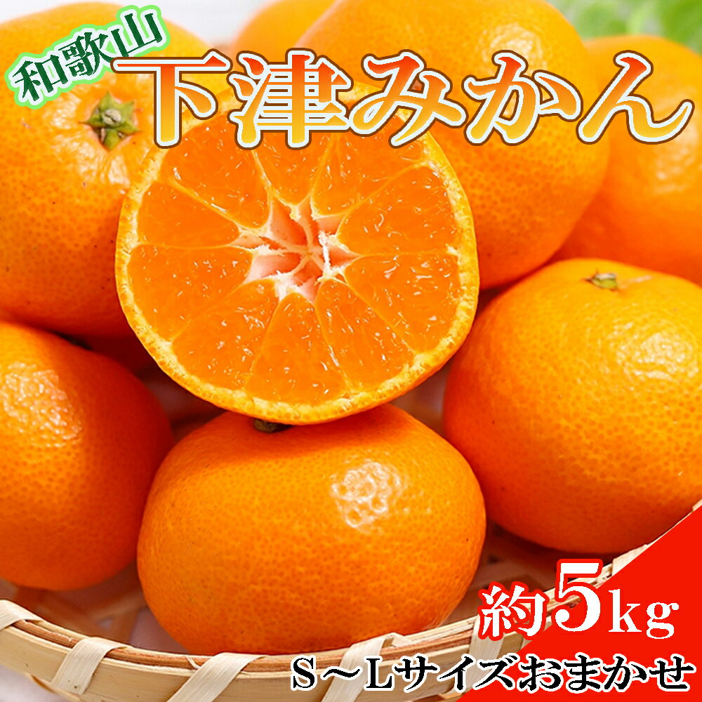 Rakuten - 【ふるさと納税】 【産直・秀品】和歌山下津みかん約5kg(S〜Lサイズおまかせ) ※2026年11月中旬～2027年1月中旬頃順次発送予定（お届け日指定不可）