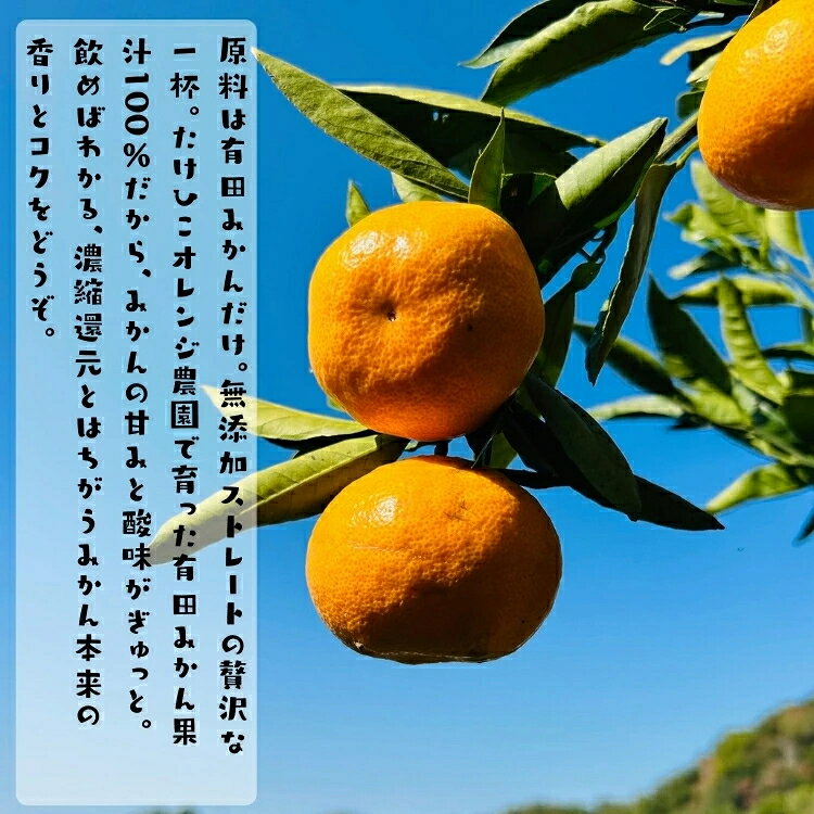 【ふるさと納税】 【数量限定】【大人気】有田みかん100％のジュース1,000mlセット 【2本】 ※着日指定不可 ※2026年1月中旬より順次発送