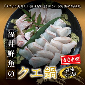 【ふるさと納税】【幻のクエ！国産】養殖クエ鍋　500g ふるさと 納税 串本町 串本 お取り寄せ お取り寄せグルメ 取り寄せ グルメ ご当地 ご当地グルメ 食品 海鮮 魚 魚貝類 魚介類 特産品 さしみ お刺身 刺身 鍋 お鍋 くえ クエ