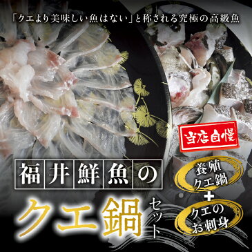 【ふるさと納税】【幻のクエ！国産】【先行予約】養殖クエ鍋500g　刺身150g ふるさと 納税 和歌山県 和歌山 串本町 串本 お取り寄せ お取り寄せグルメ 取り寄せ グルメ 食品 海鮮 魚 魚貝類 魚介類 特産品 さしみ お刺身 刺身 鍋 お鍋 くえ クエ