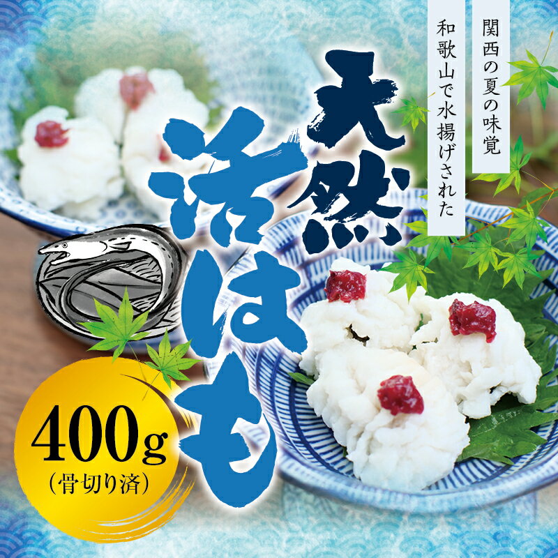 [母の日・父の日までにお届け]国産 骨切り済み 天然活はも 400g 鱧 ハモ 湯引き 和歌山県産 天ぷら しゃぶしゃぶ 鍋