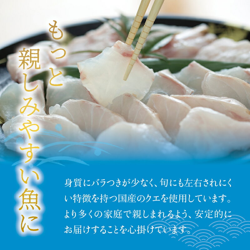 【ふるさと納税】【幻のクエ！国産】【先行予約】養殖クエ鍋500g　刺身150g ふるさと 納税 和歌山県 和歌山 串本町 串本 お取り寄せ お取り寄せグルメ 取り寄せ グルメ 食品 海鮮 魚 魚貝類 魚介類 特産品 さしみ お刺身 刺身 鍋 お鍋 くえ クエ