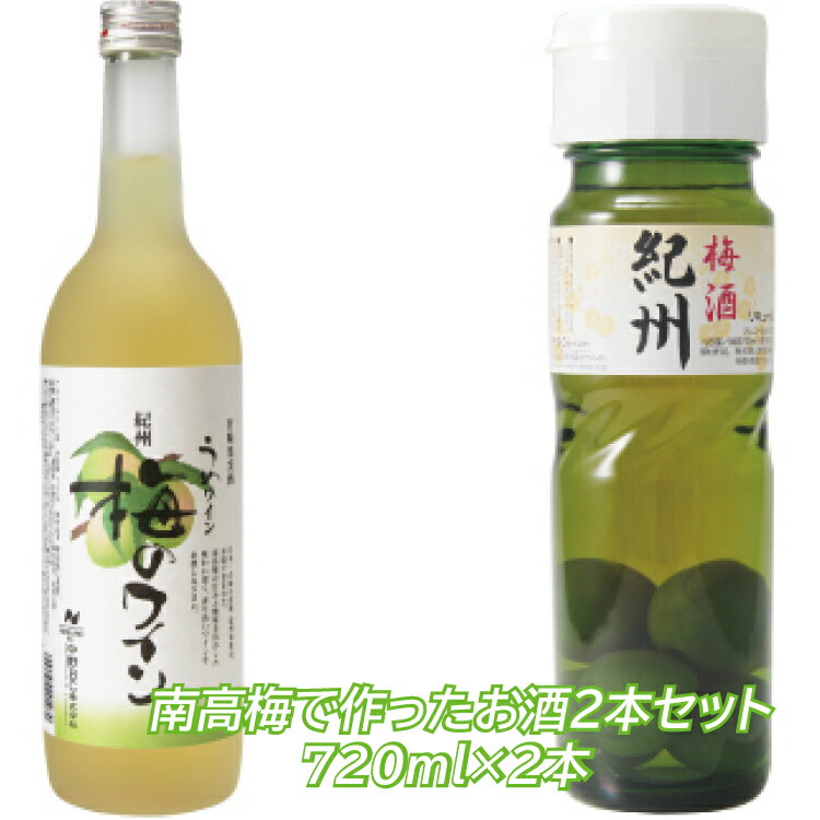 【ふるさと納税】南高梅で作ったお酒2本セット(紀州 梅のワイン720ml+紀州梅酒 梅入りデカンタ720ml)