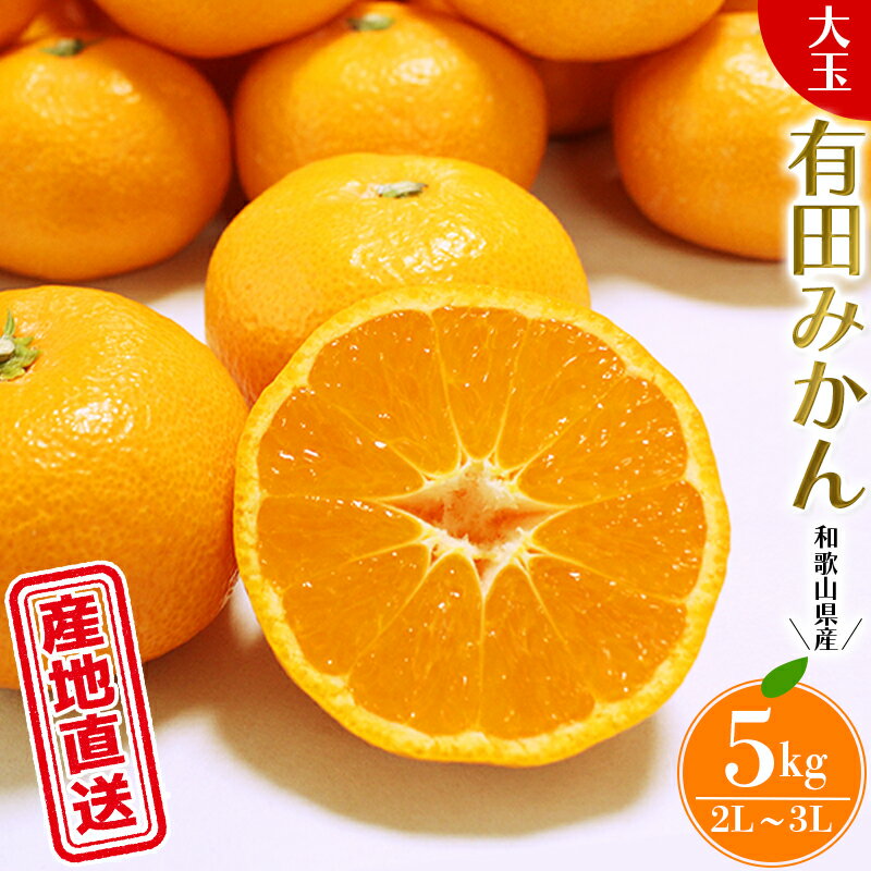 先行予約 ＼ みかんの名産地 和歌山県産/ 農家直送 大玉 有田みかん 5kg (2L〜3L) ひとつひとつ手選別で厳選[2025年11月下旬〜1月中旬ごろに順次発送予定] | みかん フルーツ 果物 くだもの 有田みかん 蜜柑 柑橘[hdm001-1A]
