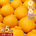 【ふるさと納税】 先行予約 \ みかんの名産地 和歌山県産/ 農家直送 不知火 約5kg(18~24玉) ひとつひとつ手選別で厳選【2026年2月中旬~3月下旬ごろに順次発送予定】【hdm002A】