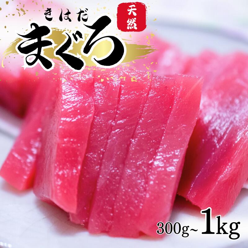 漁師が選んだ 天然キハダマグロ 切身 約300g〜1kg / まぐろ 鮪 赤身 刺身 切身冷凍 きはだまぐろ 和歌山