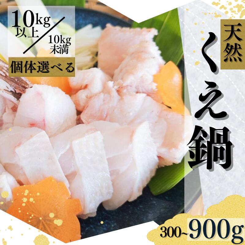 ڤդ뤵ǼǡۡڶĮ̻¼ܥޥܿ˥ȥֿȥå500