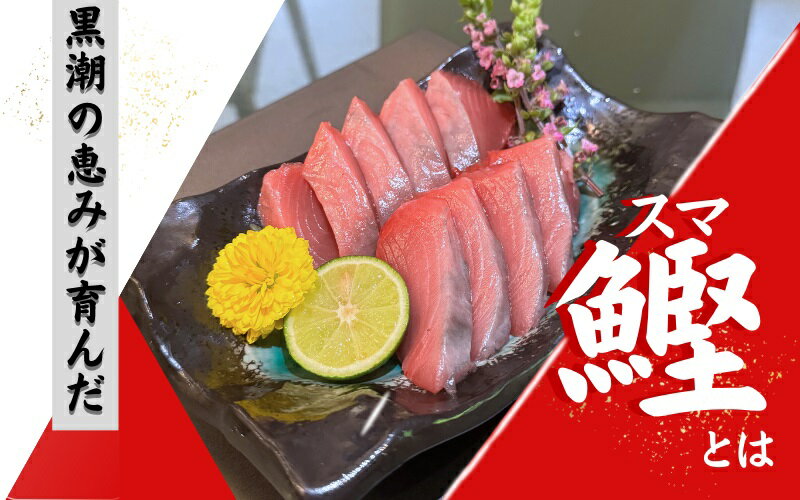 【ふるさと納税】全身トロの幻の魚　高級魚スマガツオ【数量限定】700g / かつお 鰹 スマガツオ スマかつお 魚 魚貝 海鮮 養殖 串本町