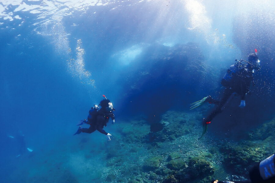 【ふるさと納税】体験ダイビング 1名様分　気軽に水中世界を見に行こう！ライセンス不要、少人数制、泳ぎが苦手な方でもOKです。 スキューバダイビング チケット ARK Diving Shop 串本店