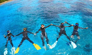 【ふるさと納税】シュノーケリング 1名様分　世界最北端のサンゴ礁を見に行こう！　ARK Diving...