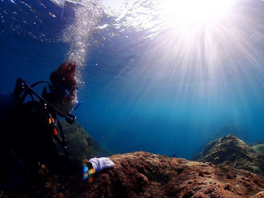 【ふるさと納税】シュノーケリング 1名様分 ARK Diving Shop 串本店　世界最北端のサンゴ礁を見に行こう！