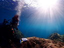 【ふるさと納税】シュノーケリング 1名様分　世界最北端のサンゴ礁を見に行こう！ ARK Diving Shop 串本店