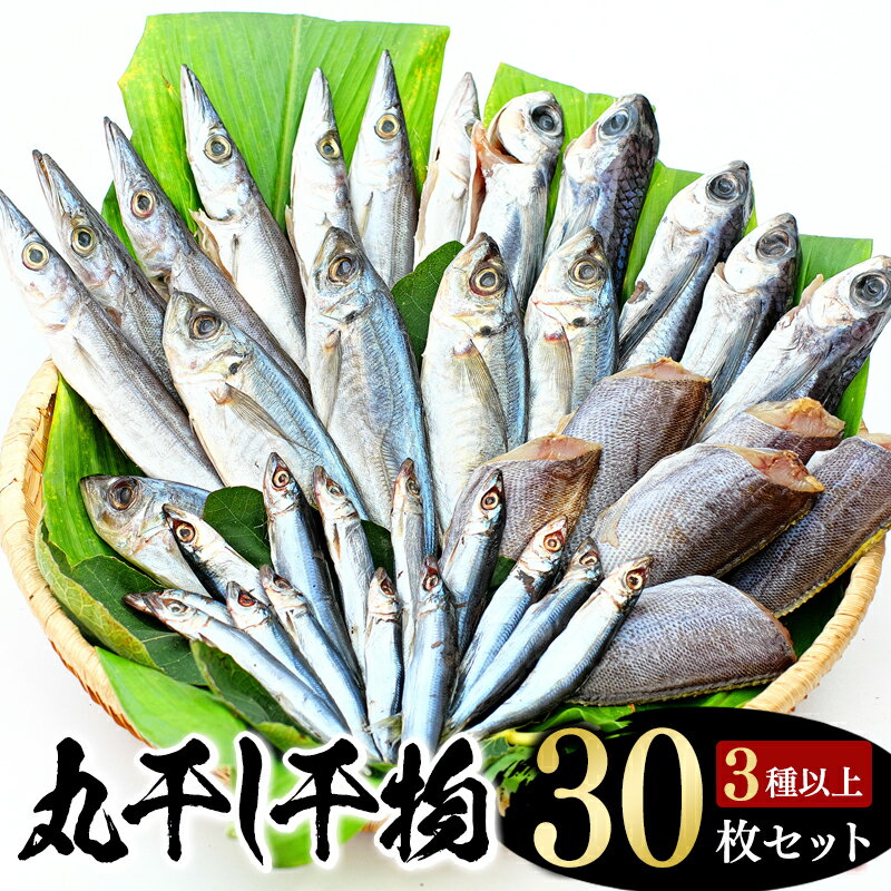 【丸干し 干物セット】たっぷり30点以上！定番干物3種30枚セット 干物 ひもの セット 和歌山 家庭用