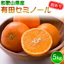 有田 セミノール 訳あり S～3Lサイズ混合 5kg/ みかん フルーツ 果物 くだもの 蜜柑 柑橘