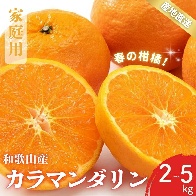 [先行予約]訳あり 家庭用 カラマンダリン 春のみかん 和歌山 有田 S〜2Lサイズ 大きさお任せ 2kg / 3kg / 5kg 選べる容量[2025年4月上旬〜5月上旬までに順次発送予定]/ みかん フルーツ 果物 くだもの 蜜柑 柑橘