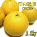 【ふるさと納税】【和製グレープフルーツ】有田育ちの河内晩柑(ご家庭用) 3.5kg ※2025年4月中旬~6月下旬に順次発送予定(4)