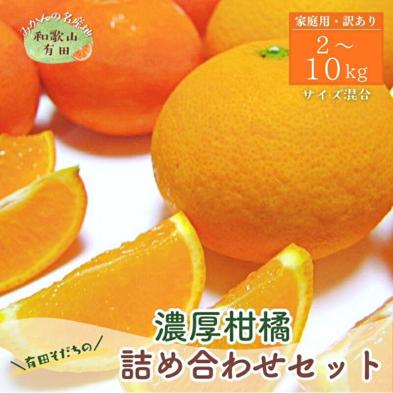 [先行予約]有田育ちの柑橘詰め合わせセット(ご家庭用) 約2kg 約3kg 約5kg 約8kg 約10kg[2026年1月中旬〜5月下旬順次発送予定]