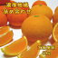 【ふるさと納税】有田育ちの濃厚柑橘詰め合わせセット(ご家庭用)　約5kg