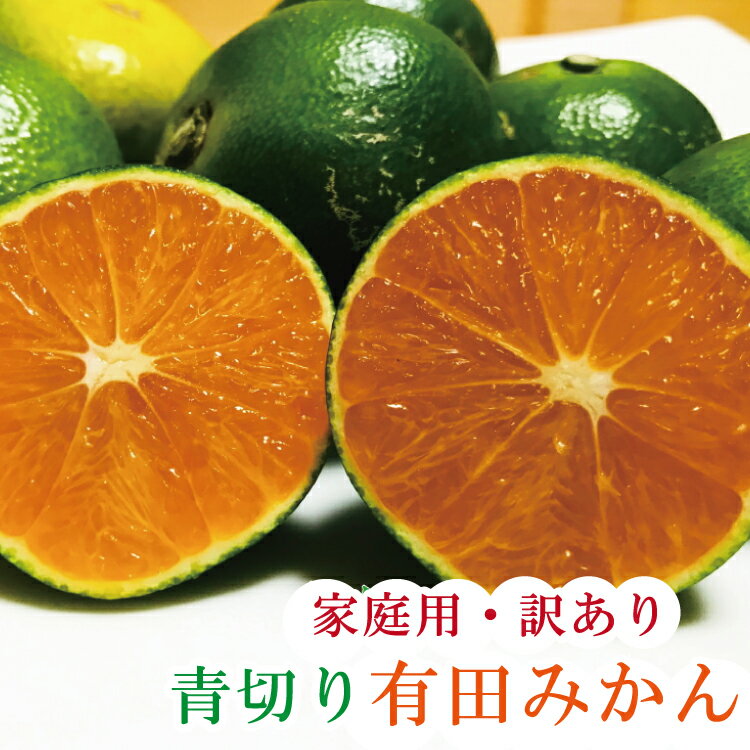 【ふるさと納税】【先行予約】【2023年9月発送】【初秋の美味】【農家直送】有田育ちのご家庭用訳あり濃厚青切り有田みかん　約10kg