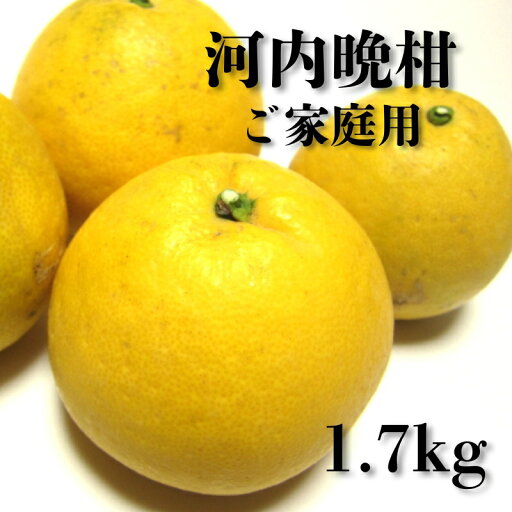 【ふるさと納税】【和製グレープフルーツ】有田育ちの河内晩柑(ご家庭用) 1.7kg ※2025年4月中旬~6月下旬に順次発送予定 【ふるさと納税】【和製グレープフルーツ】有田育ちの河内晩柑(ご家庭用) 1.7kg ※2025年4月中旬~6月下旬に順次発送予定