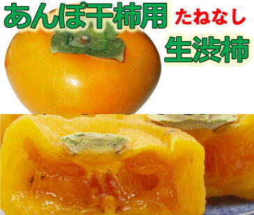 【ふるさと納税】【県認定エコファーマー】あんぽ柿用生渋柿(平たねなし柿) 約14.5〜15kg-AP【10月下旬から11月上旬発送】(お届け日指定不可)