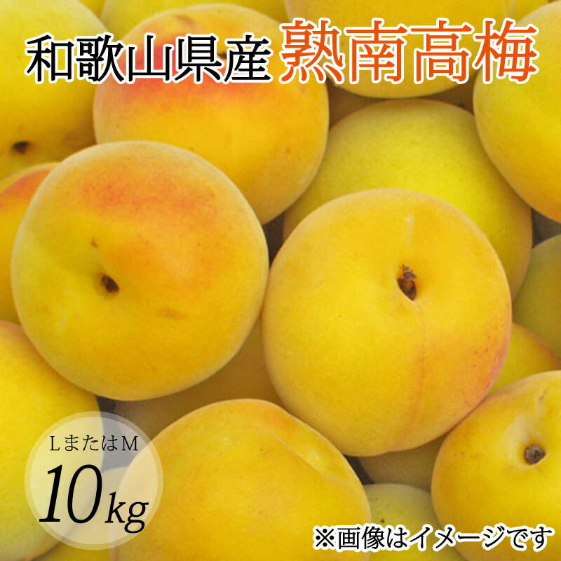 【ふるさと納税】 【梅干し・梅酒用】(LまたはM−10Kg)熟南高梅<2025年6月上旬〜7月上旬ごろに順次発送予定> (お届け日指定不可)