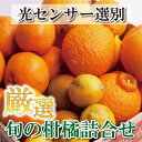 【ふるさと納税】 厳選 柑橘詰合せ 1kg / 2.5kg / 5kg / 7.5kg /10kg【有田の春みかん詰め合わせ・フルーツ詰め合せ・オレンジつめあわせ】【光センサー選別】<2026年1月~4月下旬ごろに順次発送> / みかん 果物 フルーツ オレンジ ミカン 柑橘 セット 有田みかん