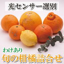 【ふるさと納税】家庭用 柑橘詰合せ 1kg / 2.5kg / 5kg / 7.5kg / 10kg 【訳あり・わけあり】【有田の春みかん詰め合わせ・フルーツ詰め合せ・オレンジつめあわせ】【光センサー選別】<2026年1月~4月下旬ごろに順次発送> / みかん セット 有田みかん 柑橘 果物 フルーツ