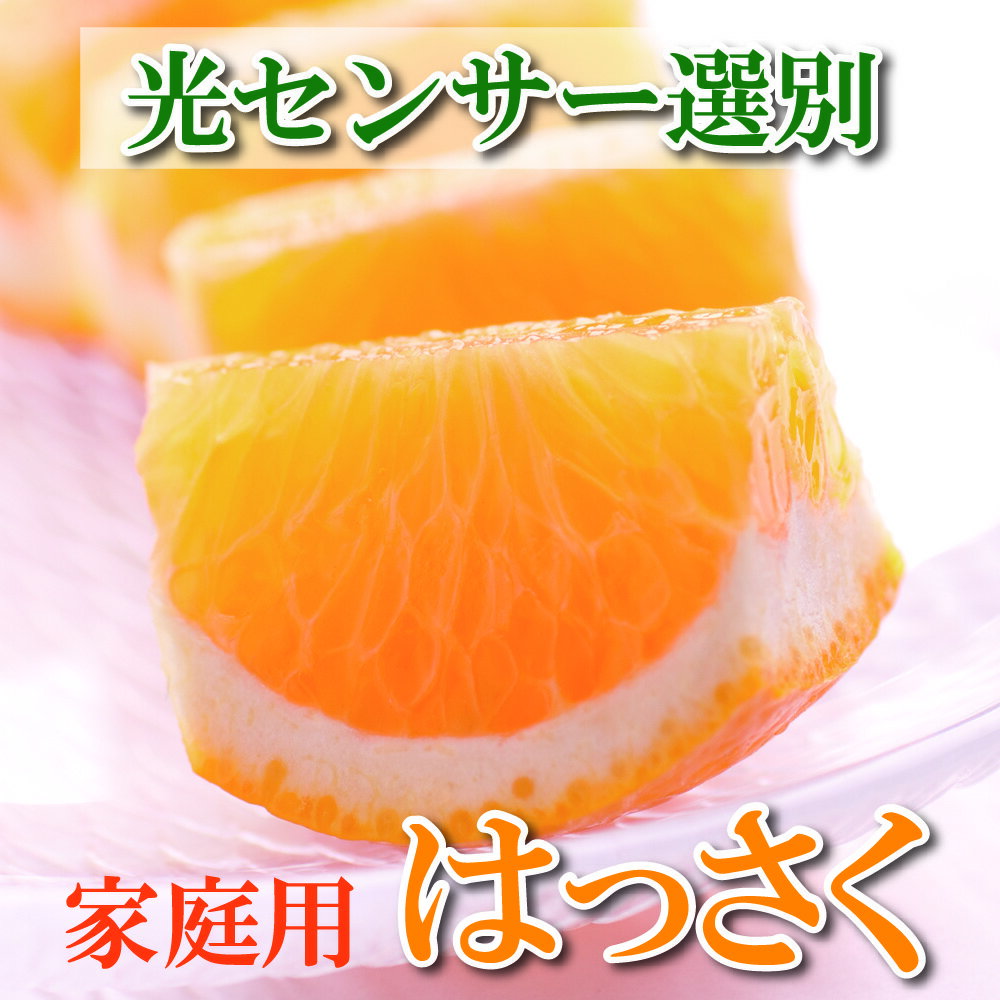 【ふるさと納税】 家庭用はっさく6kg+180g（傷み補償分）【八朔みかん・ハッサク】【わけあり・訳あり】＜1月より発送＞のサムネイル