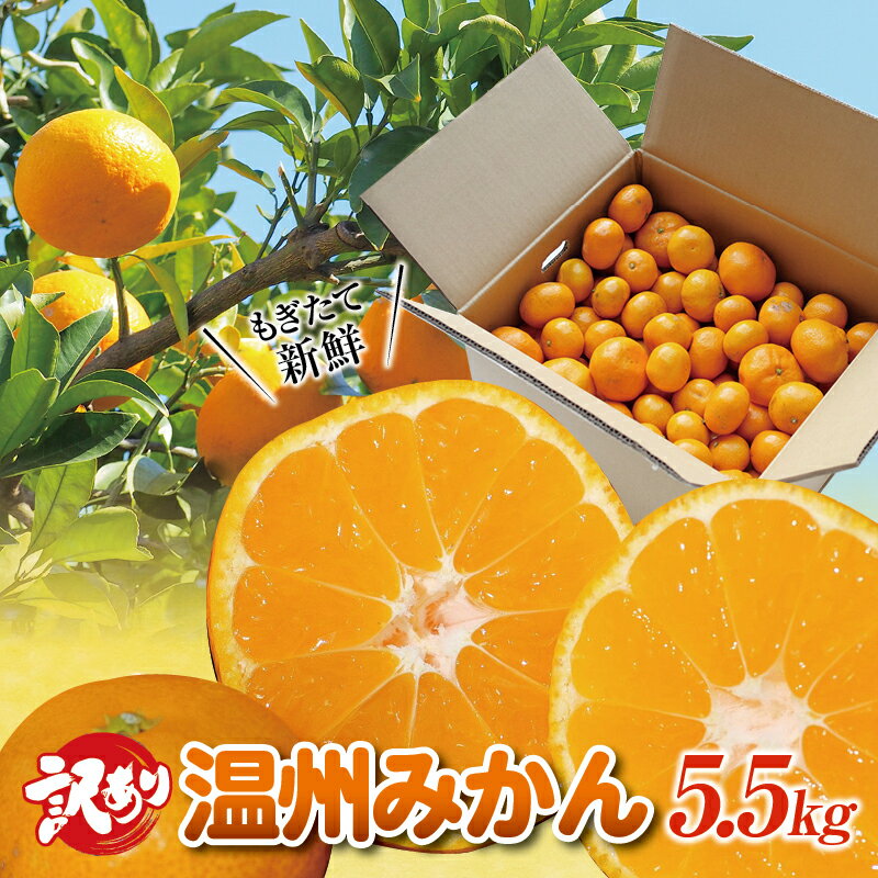 【ふるさと納税】訳あり 和歌山の美味しい温州みかん 約5.5kg 先行予約 【2023年12月中旬～2024年2月中旬に順次発送（お届け日指定不可）】/ご家庭用 サイズ混合 訳ありみかん ミカン 柑橘のサムネイル