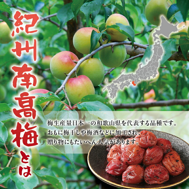 【ふるさと納税】紀州南高梅　木箱入り　長寿松竹梅【ハチミツ入】 塩分5%（1kg）なかやまさんちの梅干 うめ ウメ 梅干し 梅干 南高梅