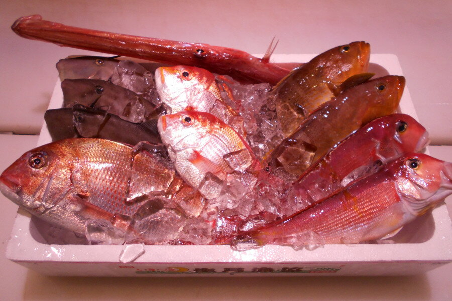 【ふるさと納税】 ＼朝どれ新鮮／ 鮮魚セット (大) 約4〜5kg前後 目利きのプロが厳選した旬の魚をその..