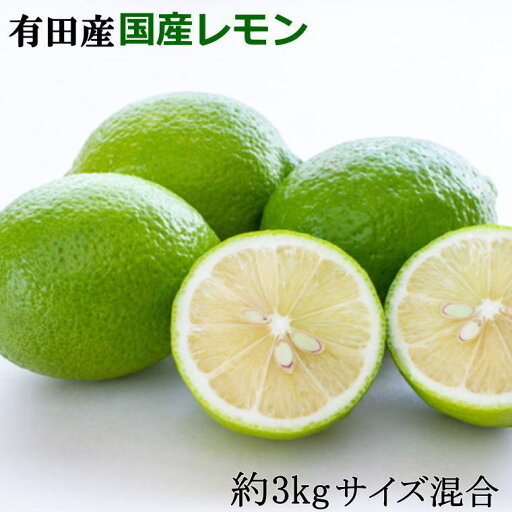 【ふるさと納税】 有田産の安心国産レモン約3kg (サイズ混合)※2025年10月中旬〜2026年4月下旬頃に順次発送予定(お届け日指定不可) 【ふるさと納税】 有田産の安心国産レモン約3kg (サイズ混合)※2025年10月中旬〜2026年4月下旬頃に順次発送予定(お届け日指定不可)