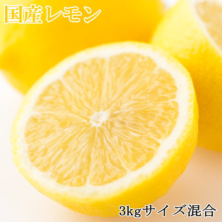 【産直】和歌山産レモン約3kg（サイズ混合）※2024年3月中旬～2024年5月下旬頃順次発送予定（お届け日指定不可）