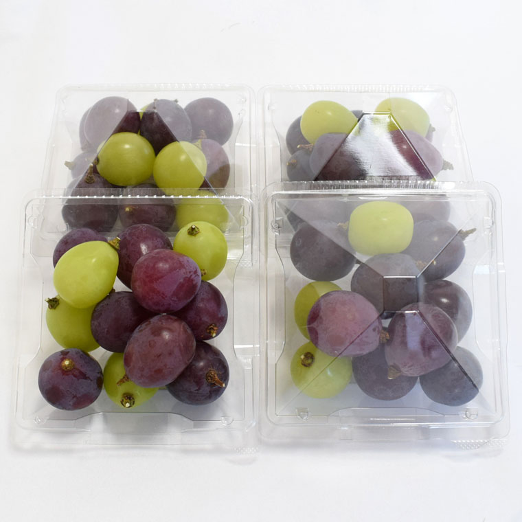 【ふるさと納税】 【数量限定】ピオーネと翠峰の夏のおまかせセット約200g×4パック ※2025年8月下旬～2025年9月上旬頃順次発送