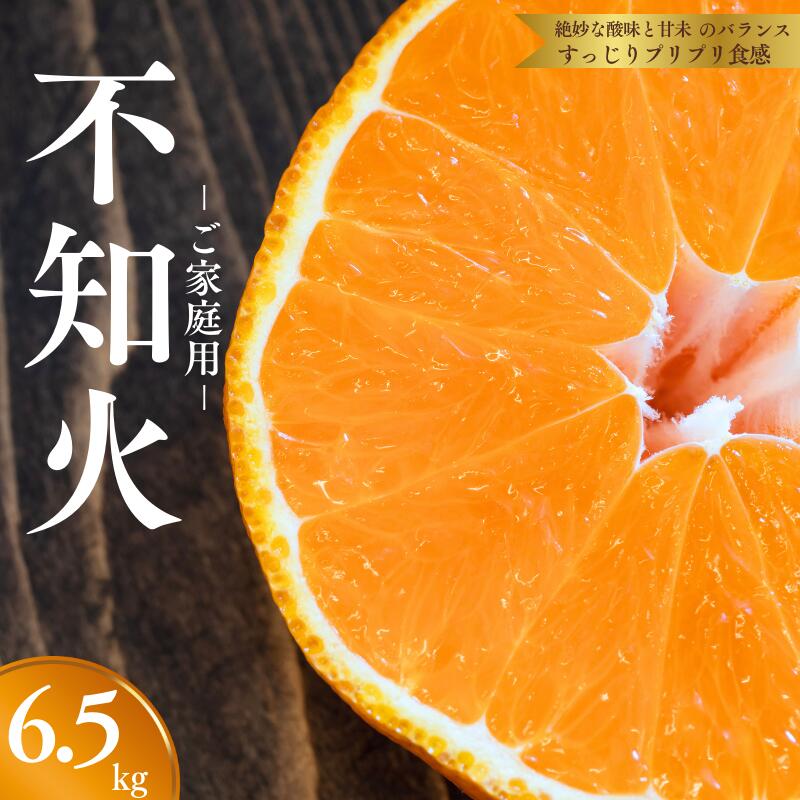 【濃厚】有田の不知火 約6.5kg ご家庭用向け（サイズ混合） ※2026年2月中旬～2026年3月中旬頃に順次発送予定（日付指定不可）