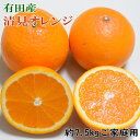 温州みかんの品種である「宮川早生」とオレンジの品種である「トロビタオレンジ」の交配によって産まれた柑橘です。 温州みかんの甘さと、オレンジの香りを受け継いだ、とっても魅力ある柑橘です。 口に入れるとトロける果肉とあふれだすジューシーがたまりません。 肉質も柔らかく、ビタミンが多く含まれ、食物繊維も豊富です。 ただ、清見は、果皮が弱く、風擦れで傷がつきやすく、病害被害も発生しやすい柑橘です。 中身や、甘さ等の食味は変わりませんので、見栄えを気にされないなら、ご家庭で召し上がって頂ける最適な清見です。 ※画像はあくまでイメージです。 ※ご家庭用選別となりますので、果皮に、風擦れなど見栄えの見劣りするものが混じりますが、中身や食味は変わりませんので、ご家庭用として、お楽しみ下さい。 ※生もの(農産物)ですので、新鮮なうちにできるだけお早めにお召し上がりください。 ※到着後はなるべく涼しく風通しの良い場所で保管して下さい。 ※M〜3Lサイズのいすれかをお届け致しますが、サイズのご指定はできません。 【こちらのお礼品は湯浅町と串本町との共通返礼品となります〔出荷元：株式会社ティーエムテック(和歌山厳選館)〕】 平成31年総務省告示第179号第5条第8号イ「市区町村が近隣の他の市区町村と共同で前各号いずれかに該当するものを共通の返礼品等とするもの」に該当する返礼品として、湯浅町と串本町と合意したものです。 ※事前にお申し出がなく、長期不在等によりお礼の品をお受取りできなかった場合、再発送はできません。あらかじめご了承くださいませ。 商品が到着致しましたらすぐに開封後、できるだけ涼しいところで保管頂きお早めにお召し上がりください。 出荷の際検品後発送しておりますが、万一商品に問題がございましたら破棄やお召し上がりになる前にご連絡ください。 ※到着予定日から、3日以上経過したものや、破棄されたものにつきましては、ご対応することが出来ませんのであらかじめご了承ください。 商品詳細 名称： 有田産清見オレンジ（訳あり家庭用サイズおまかせまたは混合） 内容量： 1箱約7.5kg 賞味期限： 出荷日より10日間 配送温度帯： 常温 提供 ティーエムテック 返礼品発送元 ティーエムテック ・ふるさと納税よくある質問は こちら ・寄附申込みのキャンセル、返礼品の変更・返品はできません。あらかじめご了承ください。【注文内容確認画面の「注文者情報」を寄附者の住民票情報とみなします】 ・必ず氏名・住所が住民票情報と一致するかご確認ください。 ・受領書は住民票の住所に送られます。 ・返礼品を住民票と異なる住所に送付したい場合、注文内容確認画面の「送付先」に返礼品の送付先をご入力ください。 ※「注文者情報」は楽天会員登録情報が表示されますが、正確に反映されているかご自身でご確認ください。