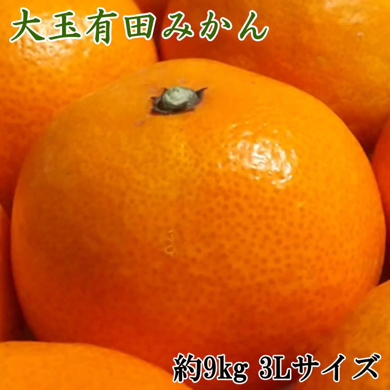 【ふるさと納税】 【食べごたえ十分】有田みかん大玉約9kg（3Lサイズ・秀品）※2026年11月中旬〜2027年1月中旬頃順次発送予定（お届け日指定不可）