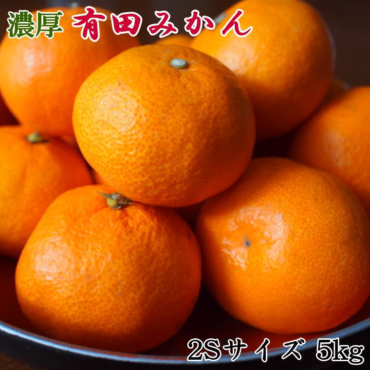 【秀品】 和歌山 有田みかん 5kg（2Sサイズ）※北海道・沖縄・離島への配送不可 ※2025年11月中旬〜2026年1月中旬頃順次発送予定（お届け日指定不可）
