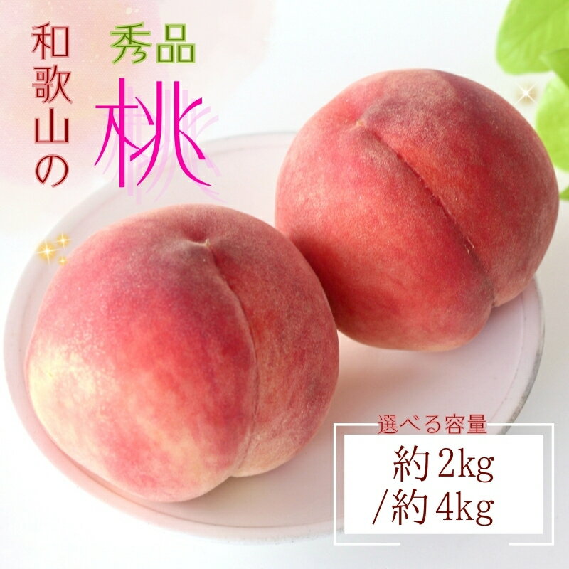 [産直・人気の特産品]和歌山の桃 約2kg / 約4kg ・秀品 ※2025年6月下旬〜8月上旬頃順次発送 / もも モモ フルーツ 果物 くだもの 人気 甘い 和歌山