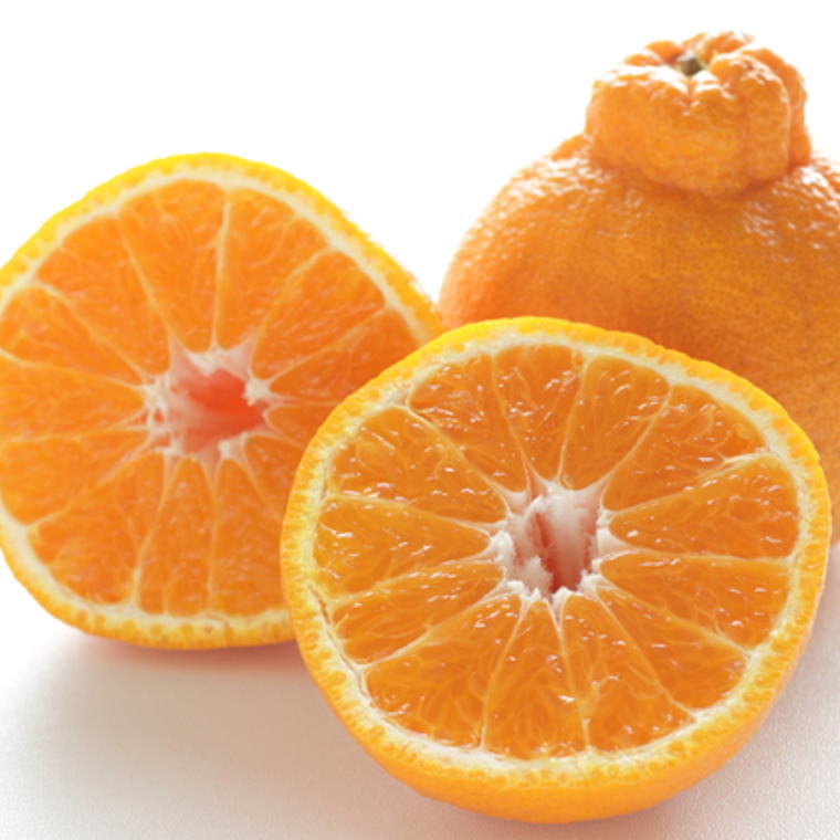 【ふるさと納税】 【濃厚】有田産不知火約4kg（2L〜5Lサイズ混合） ※2026年2月中旬～2026年3月下旬頃に発送予定（お届け日指定不可）