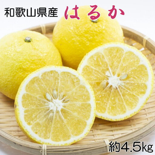【ふるさと納税】 【さわやか柑橘】和歌山県産はるかみかん約4.5kg(サイズ混合 秀品) ※2026年2月下旬~2026年3月下旬頃順次発送 【ふるさと納税】 【さわやか柑橘】和歌山県産はるかみかん約4.5kg(サイズ混合 秀品) ※2026年2月下旬~2026年3月下旬頃順次発送