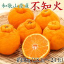 【ふるさと納税】 和歌山県産 不知火 約5kg (18玉〜24玉おまかせ) ※2026年2月下旬~2026年4月中旬頃に順次発送予定(日付指定不可)(4)