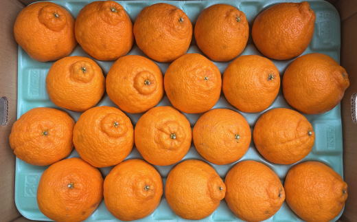 【ふるさと納税】 和歌山県産 不知火 約5kg （18玉〜24玉おまかせ） ※2026年2月下旬～2026年4月中旬頃に順次発送予定（日付指定不可）
