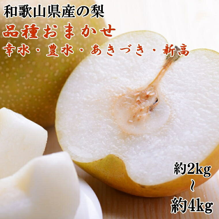 【ふるさと納税】 梨 [数量限定] 和歌山県産の梨 【選べる容量】 【約2kg 約4kg】 (品種おまかせ) ※2025年8月下旬〜10月中旬頃に順次発送予定 （お届け日指定不可） / 和歌山 果物 なし ナシ