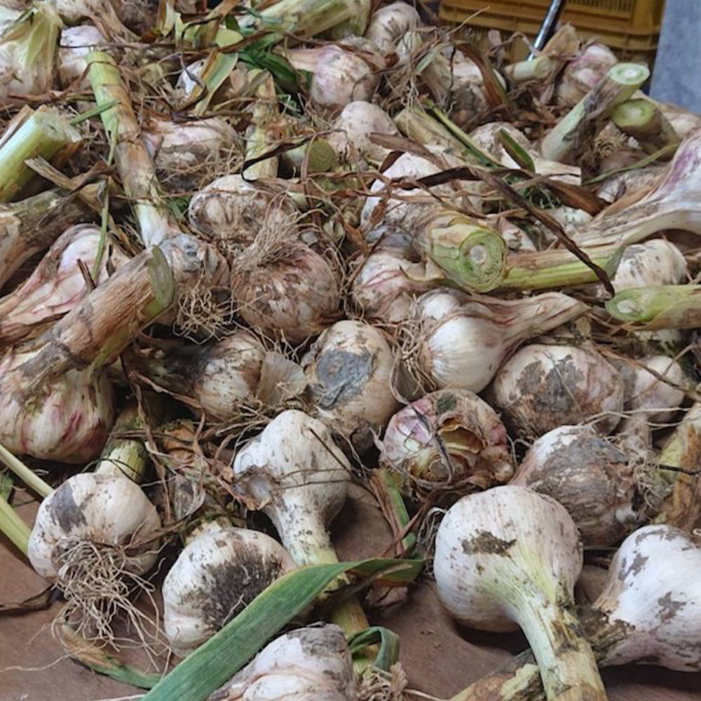 thum3