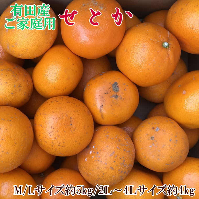 (訳あり・ご家庭用)一度は食べていただきたい「有田産のせとか」約4kg〜5kg ※2026年2月中旬〜2026年3月上旬頃に順次発送